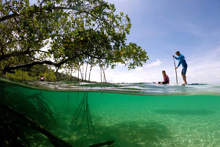 Paddleboarding