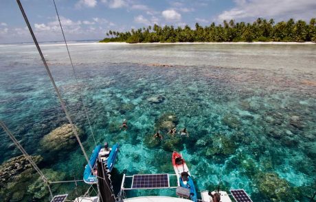 Swimming in Chagos IMG_3023