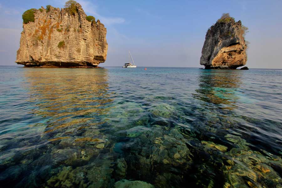 Coral reef and tropical fish near Koh Haa